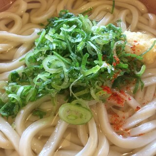 体ポカポカ！ネギしょうがたっぷり釜揚げうどん